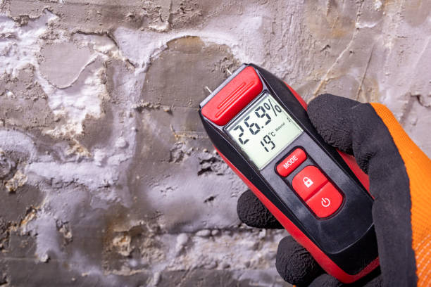 Best Black Mold Remediation in Oakridge, OR