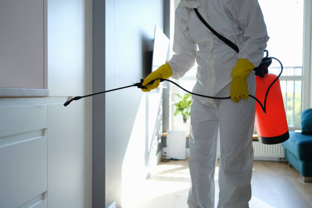 Best Emergency Mold Remediation in Oakridge, OR